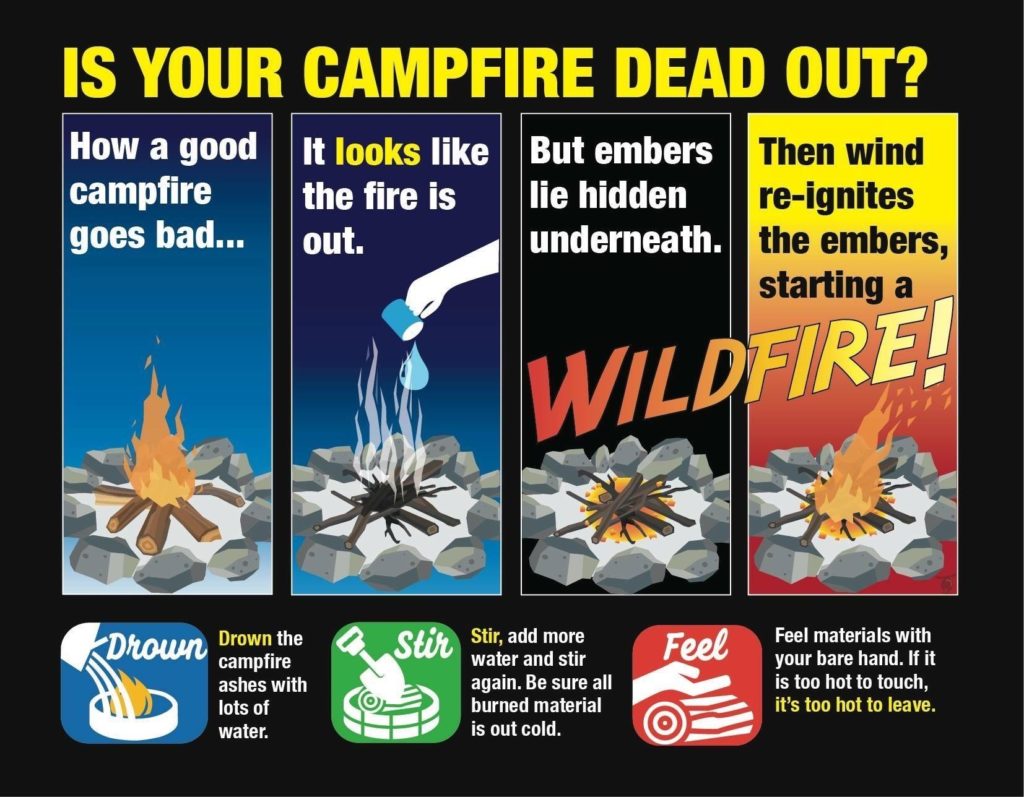 Graphic of Campfire Dead Out