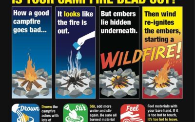 Counties and Public Land Agencies Offer Friendly Reminders on Best Practices for Preventing Wildfires