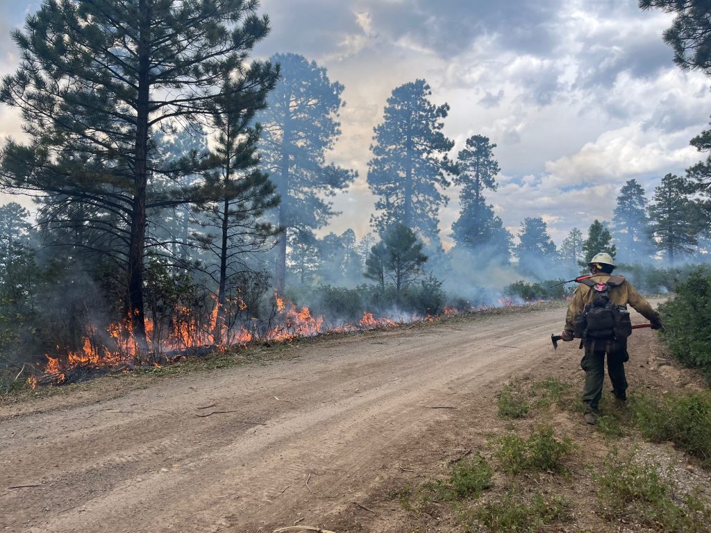 Bucktail Fire - firefighter at work